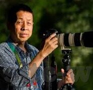 百家乐赢钱打法-百家乐赢钱打法，策略与技巧